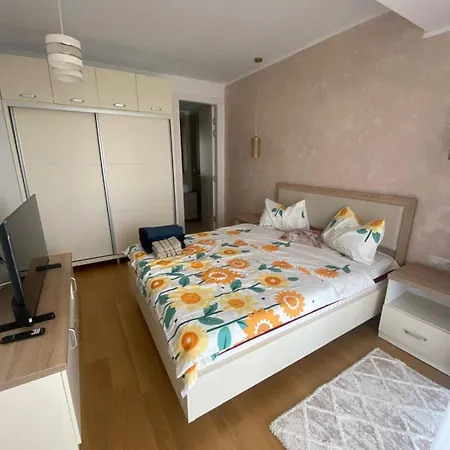 Alex S 405 Daire Olimp