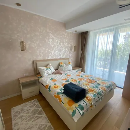 Alex S 405 Daire Olimp