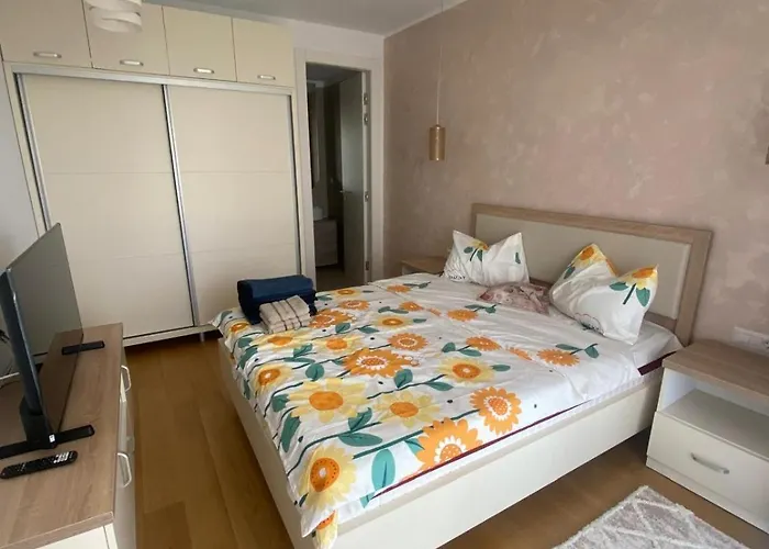 Alex S 405 Daire Olimp