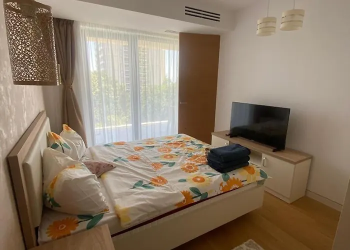 Alex S 405 Daire Olimp